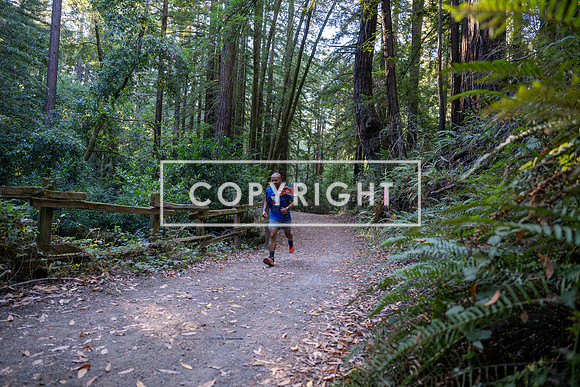 Coastal_Woodside26-014