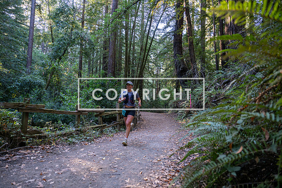 Coastal_Woodside26-011