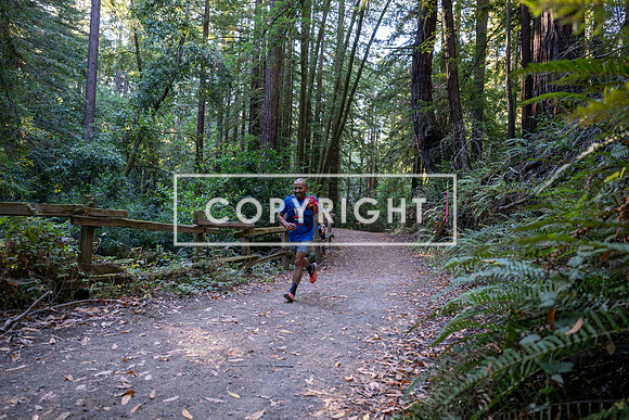 Coastal_Woodside26-015