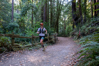 Coastal_Woodside26-018