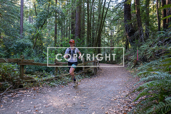 Coastal_Woodside26-018