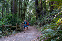 Coastal_Woodside26-020