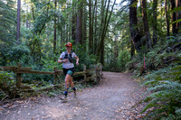 Coastal_Woodside26-019