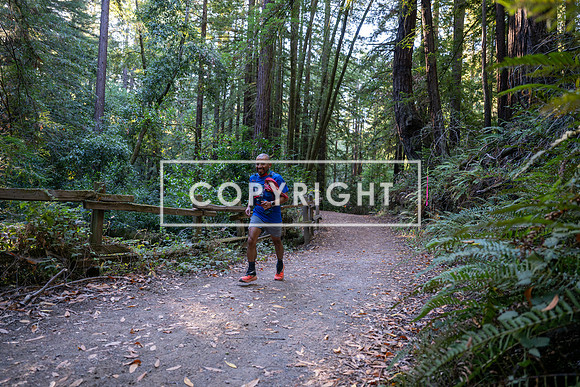 Coastal_Woodside26-016