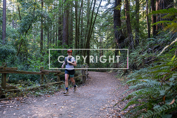 Coastal_Woodside26-017