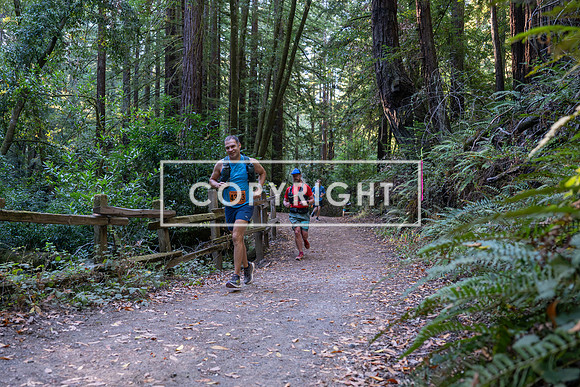 Coastal_Woodside26-022