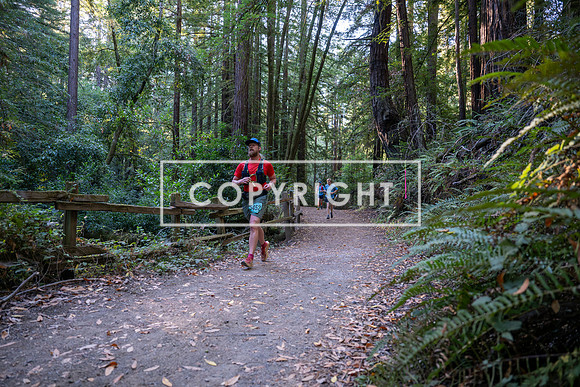 Coastal_Woodside26-024
