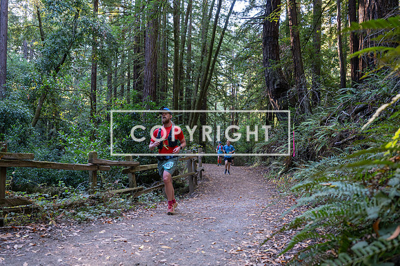 Coastal_Woodside26-023
