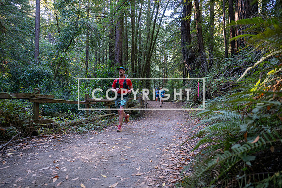 Coastal_Woodside26-025