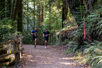 Coastal_Woodside26-246