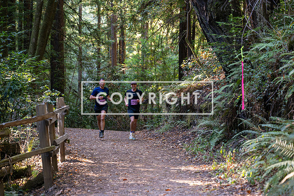 Coastal_Woodside26-246