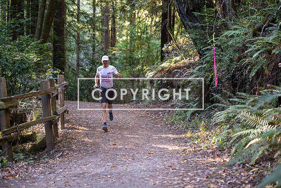 Coastal_Woodside26-250