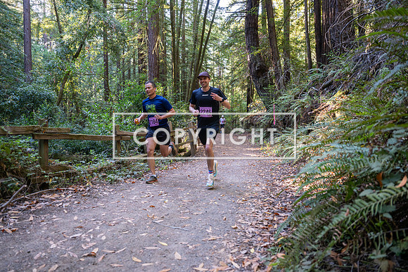 Coastal_Woodside26-247