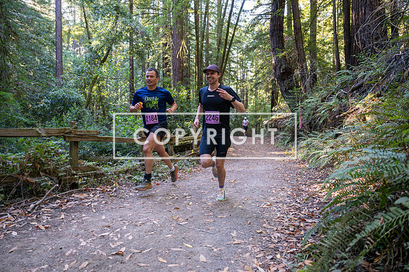 Coastal_Woodside26-249