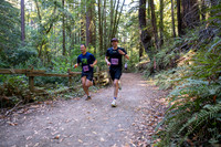 Coastal_Woodside26-248