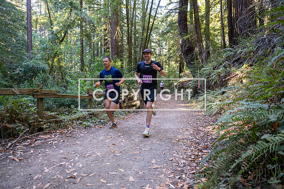 Coastal_Woodside26-248