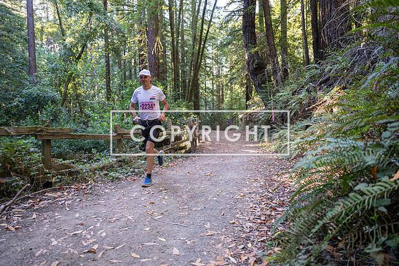 Coastal_Woodside26-251