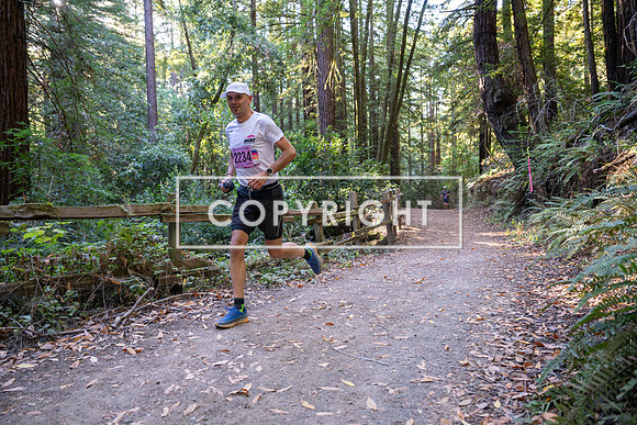 Coastal_Woodside26-252