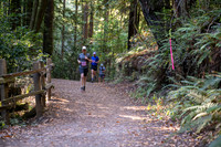 Coastal_Woodside26-254