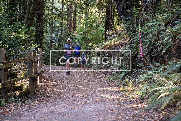 Coastal_Woodside26-254