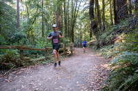 Coastal_Woodside26-255