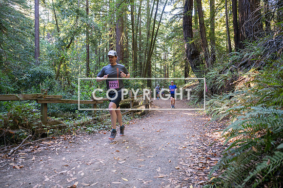 Coastal_Woodside26-255