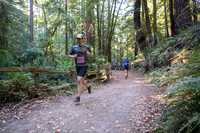 Coastal_Woodside26-256