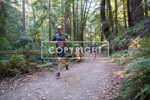 Coastal_Woodside26-256