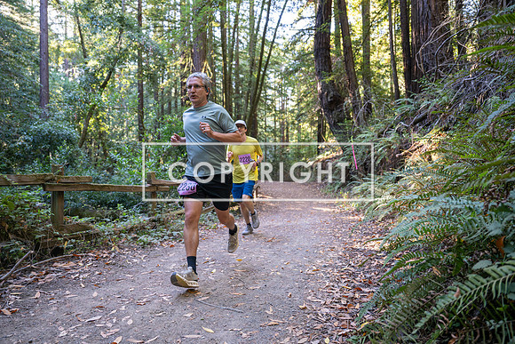 Coastal_Woodside26-263