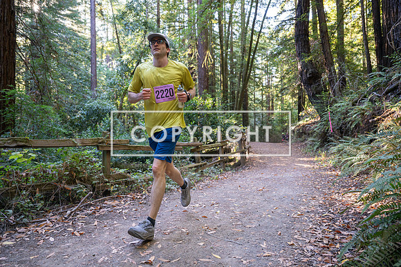 Coastal_Woodside26-266