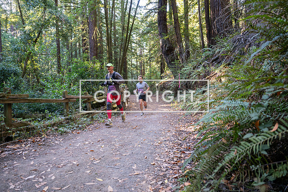 Coastal_Woodside26-270