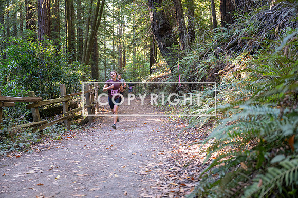 Coastal_Woodside26-268