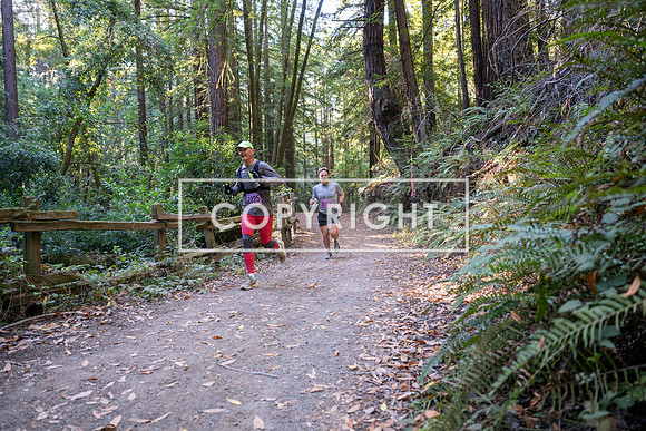 Coastal_Woodside26-271