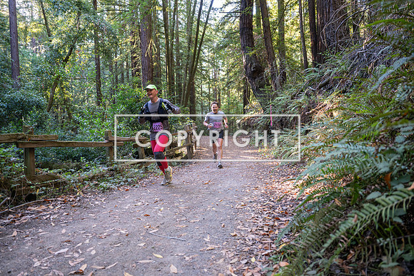 Coastal_Woodside26-272