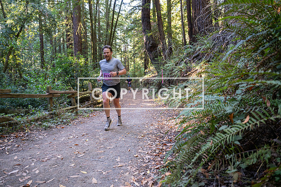 Coastal_Woodside26-273