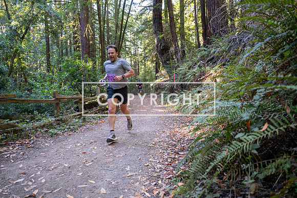 Coastal_Woodside26-274