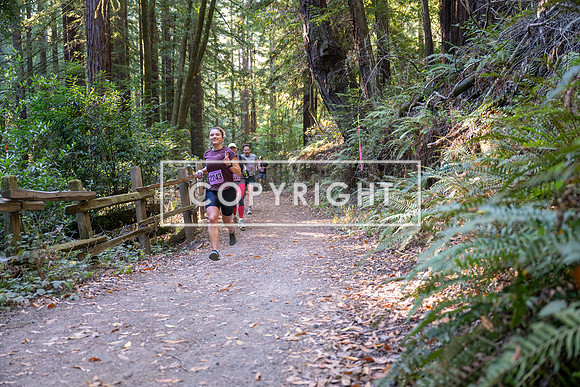 Coastal_Woodside26-269