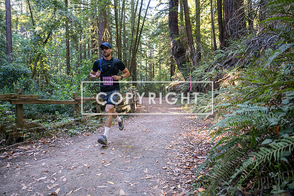 Coastal_Woodside26-276