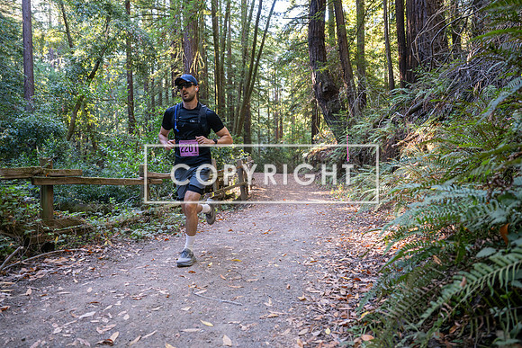 Coastal_Woodside26-277