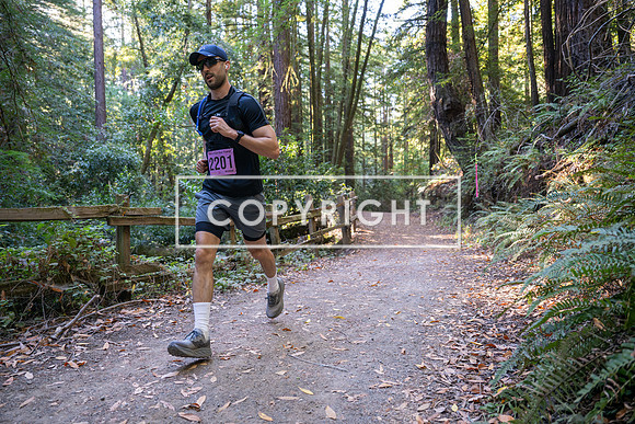 Coastal_Woodside26-278