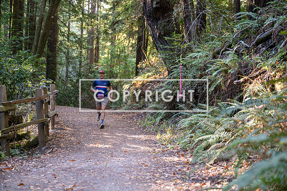Coastal_Woodside26-279