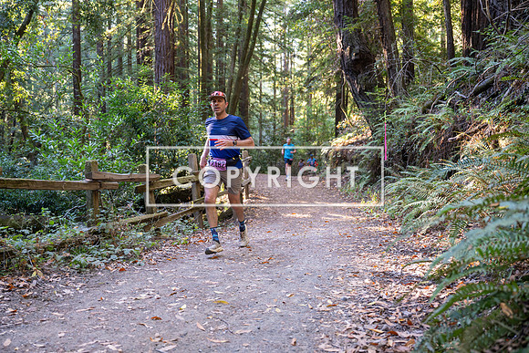 Coastal_Woodside26-280