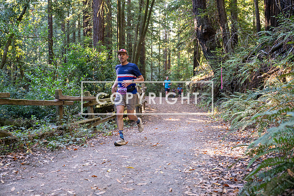 Coastal_Woodside26-281