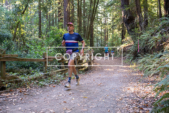 Coastal_Woodside26-282