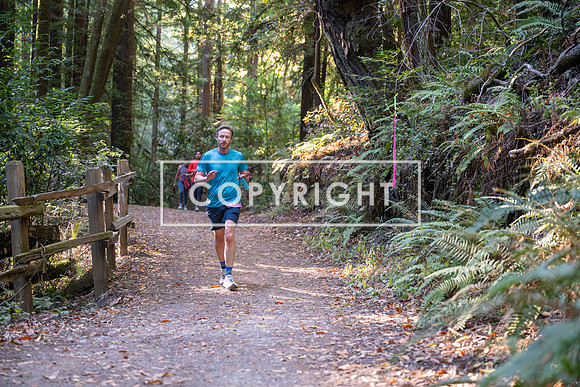 Coastal_Woodside26-283