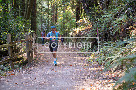 Coastal_Woodside26-287