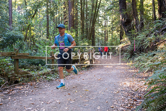 Coastal_Woodside26-289