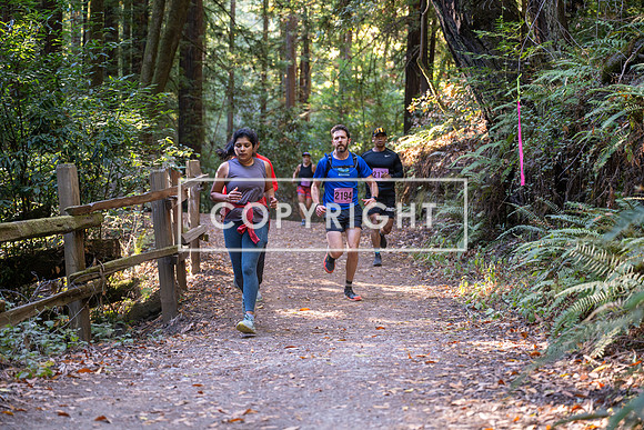 Coastal_Woodside26-291