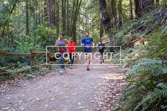 Coastal_Woodside26-292