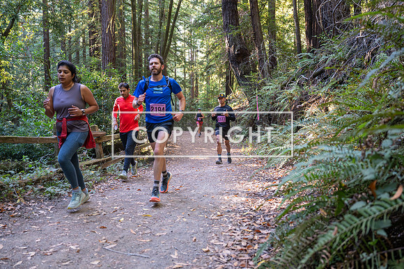 Coastal_Woodside26-294